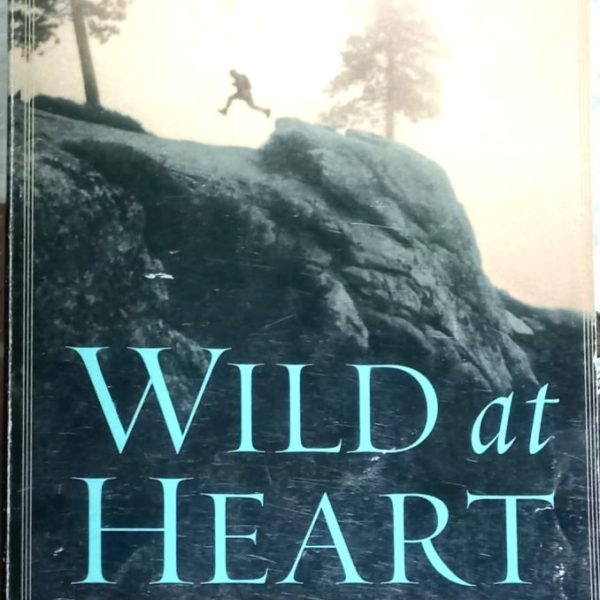 Wild at heart - John Eldredge